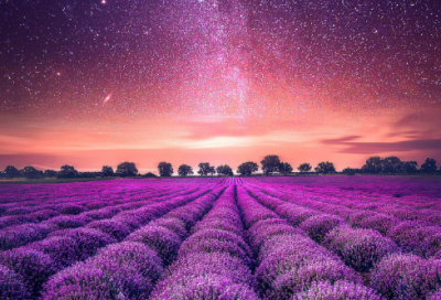 ​博开头的成语