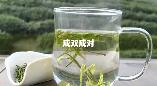 成双成对