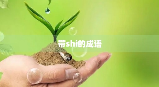 带shi的成语 带shi的成语