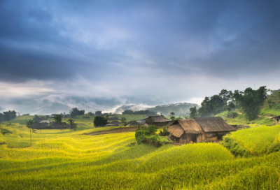 ​发挥余热(发挥余热的成语)