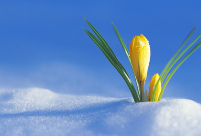 ​风字开头的成语