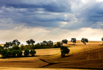 ​海字开头的成语