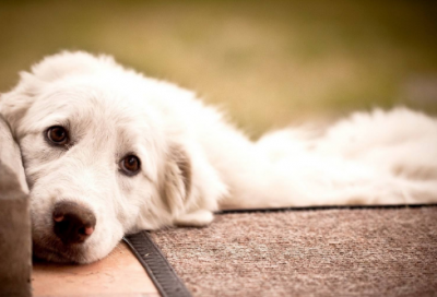 ​很难的成语(形容生活很难的成语)