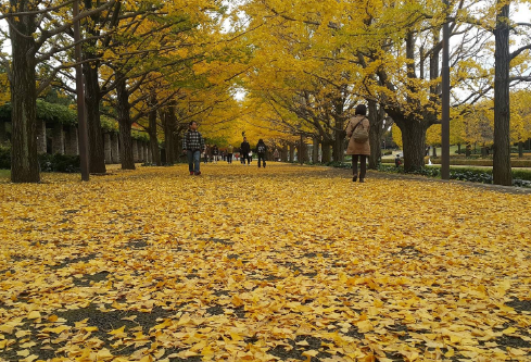 1687856404908651.png image.png