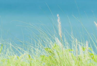 ​仁开头的成语