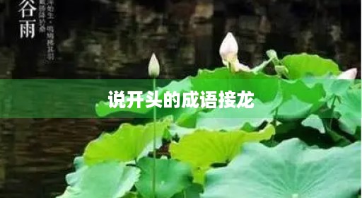 说国字20个20个20个最长龙大说开头游戏大全的你说100个四字四字成语游戏接100个成功8个长调长调全集全集开头说接龙词语最长