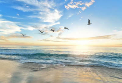 ​畏字开头的成语