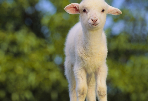 1687872384279861.png image.png