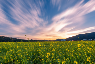 ​养竹记文言文阅读译文（养竹记翻译及原文）