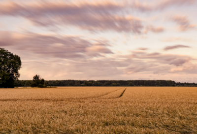 ​早雁杜牧翻译（杜牧早雁的中心旨意）