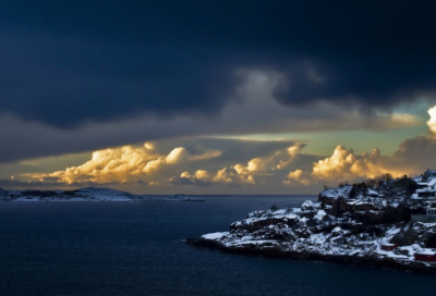 ​秦州杂诗其七翻译（秦州杂诗其七原文赏析）