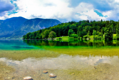 ​春寒陈与义的全文翻译（春寒陈与义赏析分享）