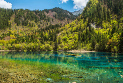 ​登楼杜甫翻译和赏析（登楼杜甫的思想感情）