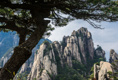 ​祭十二郎文翻译简短（祭十二郎文原文注释）