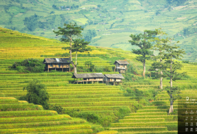 ​祭十二郎文原文及翻译（祭十二郎文原文赏析）