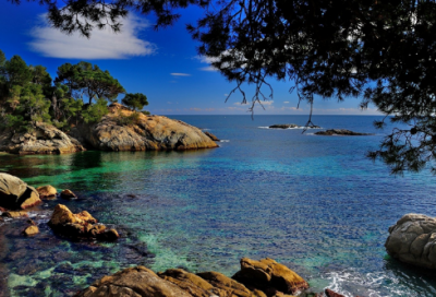 ​冬夜读书示子聿翻译（陆游冬夜读书示子聿赏析）