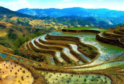 ​代赠李商隐原文及翻译（代赠李商隐原文及翻译赏析）