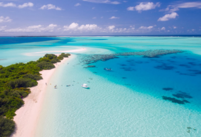 ​列子学射文言文翻译（列子学射给我们的启示）