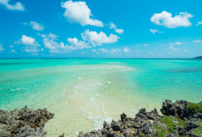 ​玉楼春欧阳修翻译及赏析（玉楼春欧阳修诗歌鉴赏）