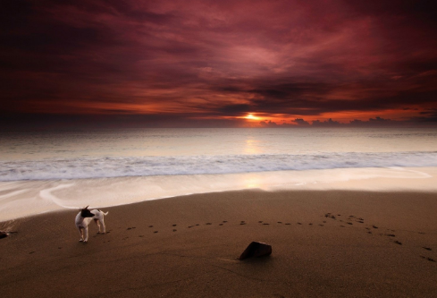 1688160515457727.png image.png