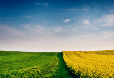 ​渔家傲李清照翻译（渔家傲李清照赏析简短）