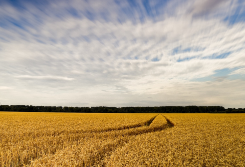 1688162514232323.png image.png