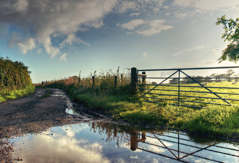 1688164513799232.png image.png