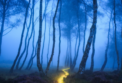 ​关于狼的文章原文（狼原文及翻译注释）