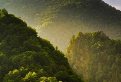 ​谭元春再游乌龙潭记原文及翻译（再游乌龙潭记原文及翻译赏析）