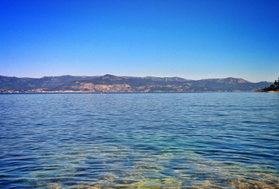 ​樊迟仲弓问仁翻译全文（樊迟问仁的原文及翻译）