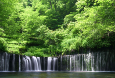 ​望海潮翻译及赏析（望海潮原文及翻译及注音）