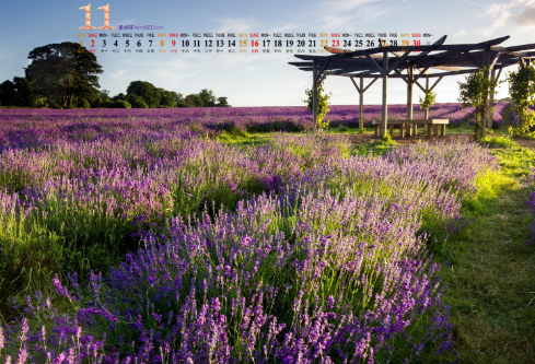 1688169178360470.png image.png