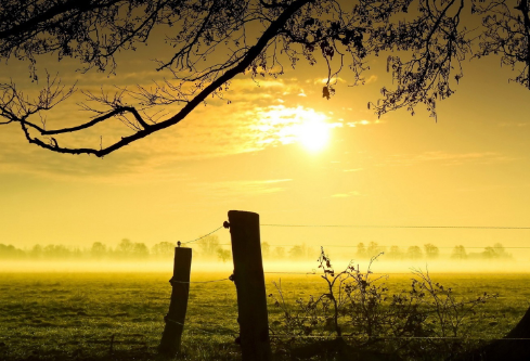 1688169345659483.png image.png