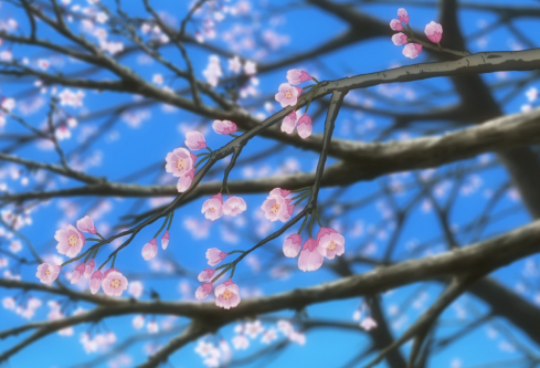 1688170012389137.png image.png