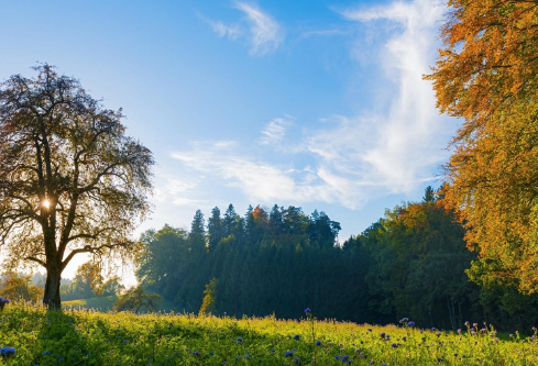 1688170846765180.png image.png