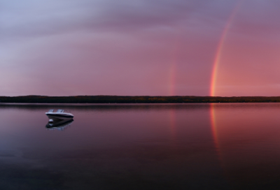 ​新婚别原文及翻译（新婚别创作背景）