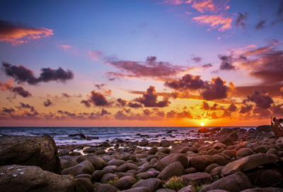 ​戏答元珍区阳修赏析（戏答元珍翻译及赏析）