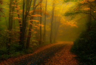 ​宋史赵普传全文翻译（宋史赵普传节选翻译）