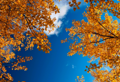 ​黄州快哉亭记注释（黄州快哉亭记翻译赏析）