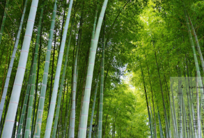 ​地震蒲松龄文言文翻译（蒲松龄的地震注释）