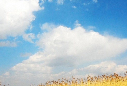 1688176848373088.png image.png