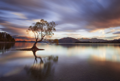 ​牛郎织女文言文翻译及注释（牛郎织女文言文原文及翻译）