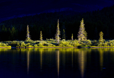 ​叶公好龙文言文（叶公好龙文言文翻译及注释）