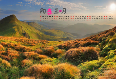 ​木兰诗的翻译及原文（木兰诗的诗意详解）