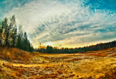 ​司马光传文言文翻译（司马光读书文言文翻译及注释）