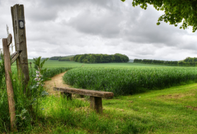 ​七录文言文翻译（后名读书之斋曰七录的翻译）