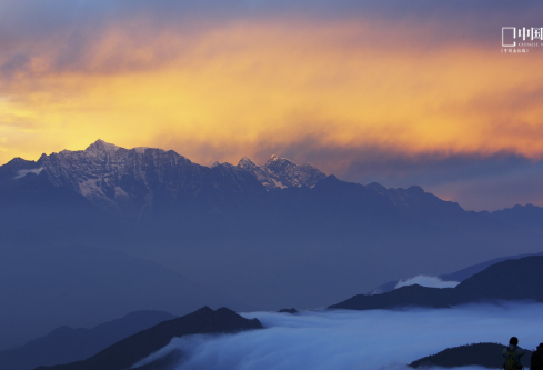 1688179683903635.png image.png