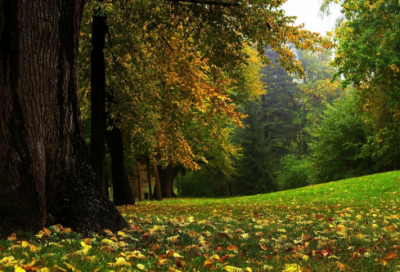 ​曹操蒿里行赏析（蒿里行原文及翻译拼音）