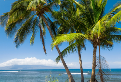 ​题壁上韦偃画马歌翻译（题壁上韦偃画马歌翻译赏析）