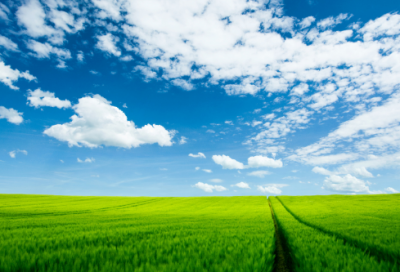 ​宣城见杜鹃花李白翻译（宣城见杜鹃花李白赏析）